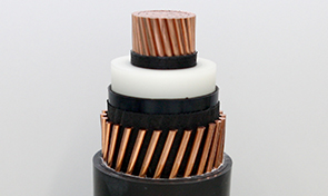 thum_295.jpg