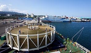 thum_295.jpg